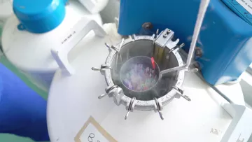 Procréation médicalement assistée : aider les couples à concevoir