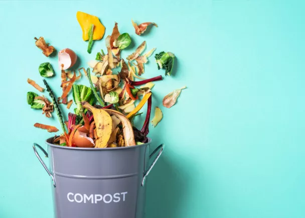 Composteur alimentaire